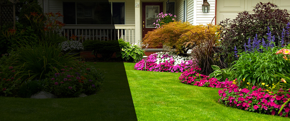 Kerman Landscapers