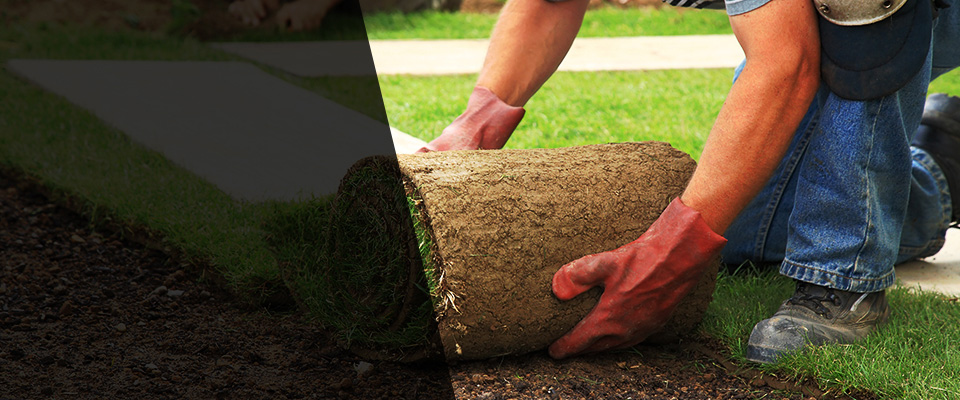 Kerman Landscapers